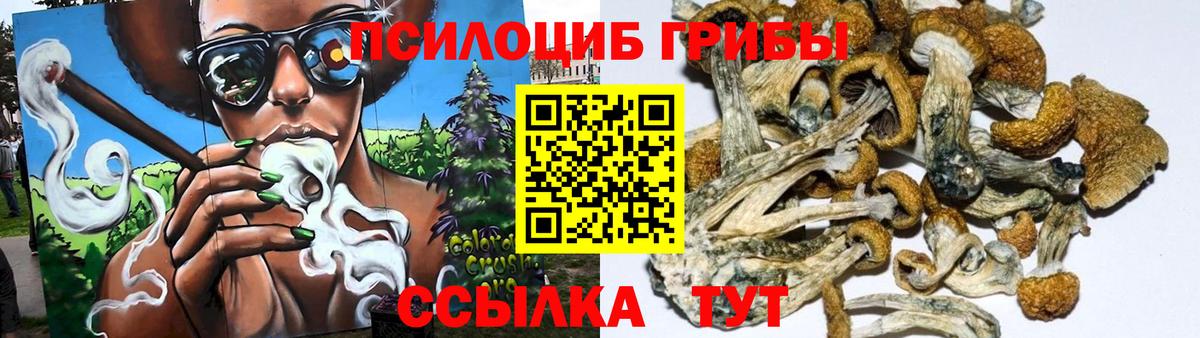 Галлюциногенные грибы GOLDEN TEACHER  Вход с VPN  как найти   Таганрог 